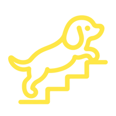 Icône de résultat de mouvement